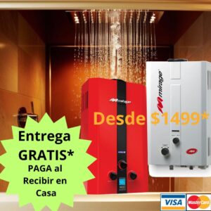BOILER DE PASO 2 SERVICIOS GAS NATURAL O GAS LP