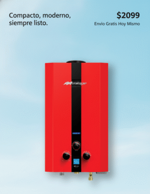 BOILER DE PASO 1 SERVICIO GAS NATURAL O GAS LP