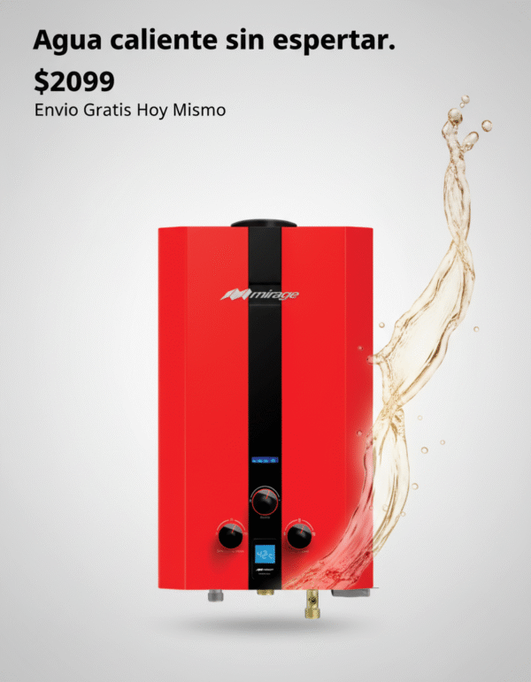 BOILER DE PASO 1 SERVICIO GAS NATURAL O GAS LP