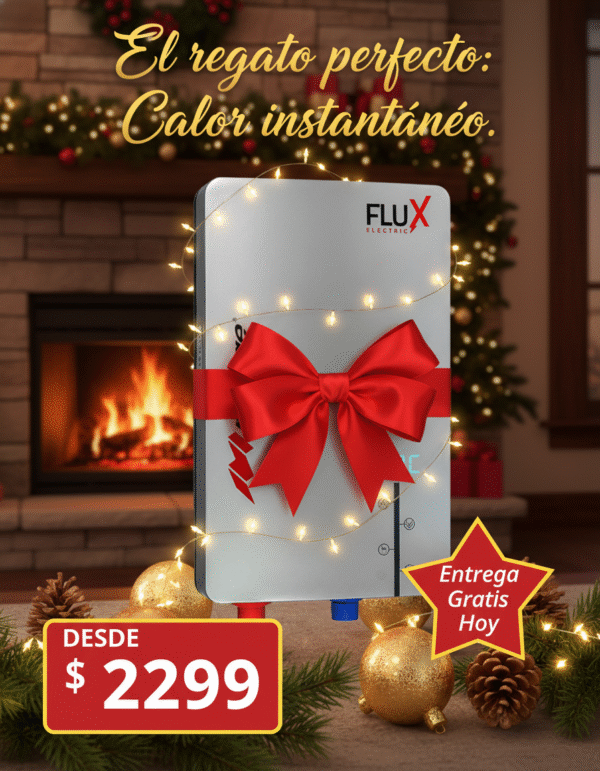 2024/11/1000156617.png BOILER DE PASO ELECTRICO 1 SERVICIOS