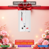 Dia de las Madres - BOILER DE PASO 2 SERVICIOS GAS NATURAL O GAS LP