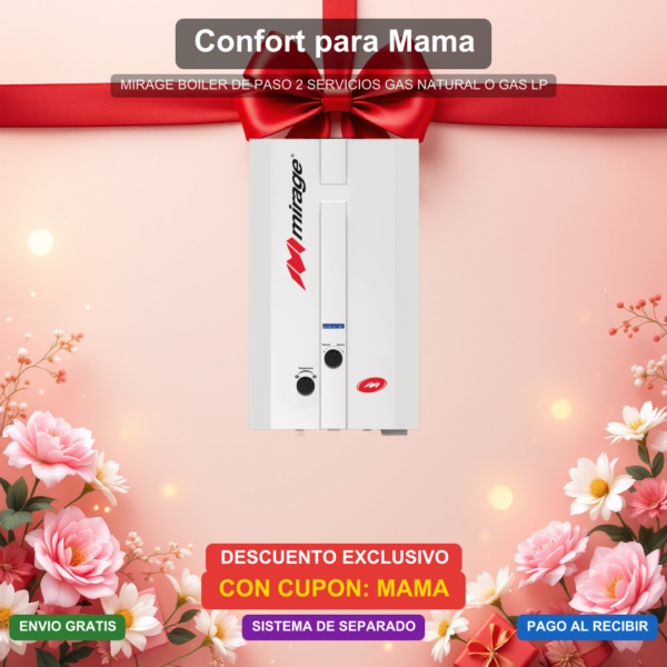 Dia de las Madres - BOILER DE PASO 2 SERVICIOS GAS NATURAL O GAS LP